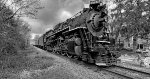 NKP 765 thunders through Peninsula.